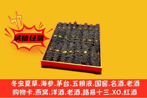 阿拉善左回收海参