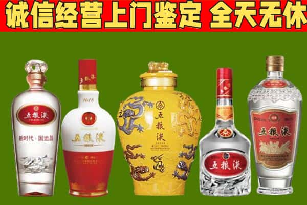 阿拉善左烟酒回收五粮液系列.jpg